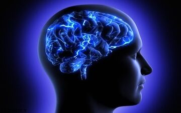 ۵ راهکار ساده و طلایی برای تقویت حافظه بلند مدت