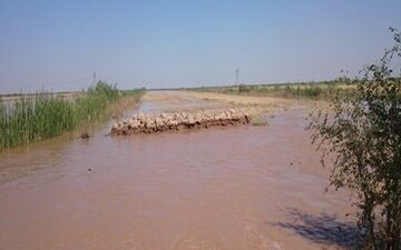 خسارت سیل به 200 خانه مسکونی در رودبار جنوب