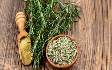 با این گیاه جای زخم ترمیم می‌شود و پوست بهبود می‌یابد