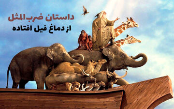 داستان جالب و قدیمی ضرب المثل از دماغ فیل افتاده!
