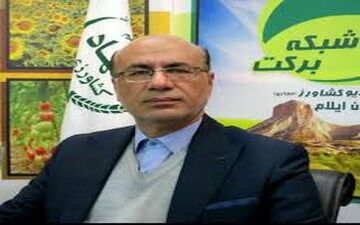 ‍  پیش بینی خرید بیش از ۱۷۰ هزار تن گندم از کشاورزان استان