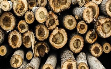 کشف 3 تن چوب‌آلات جنگلی قاچاق در ساری