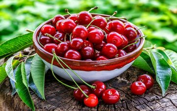 خواص آلبالو برای بدن؛ از خواب بهتر تا تقویت ایمنی
