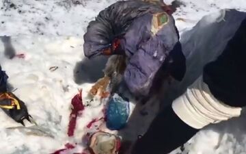 جسد کوهنورد مفقود شده پس از 31 سال پیدا شد +فیلم