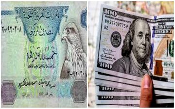 
قیمت درهم، دلار و یورو امروز سه شنبه 12 اردیبهشت 1402/ نوسان اندک درهم
