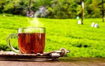 ۶ غذا که نباید همراه چای بخورید!