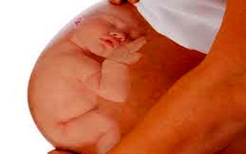  آفت کش ها بر سلامت جنین چه تاثیری می گذارند؟