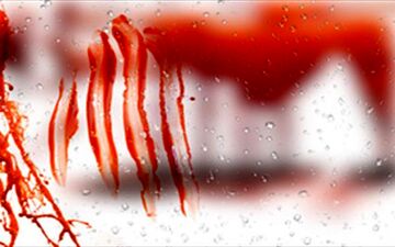 اقرار به قتل در شب خواستگاری خواهر