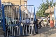 قطعی تلفن مردم، سرقت کافوی استانداری کرمانشاه؛ گل بود به سبزه نیز آراسته شد