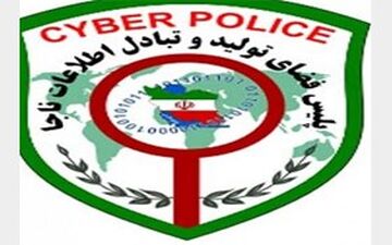 پسر مشهدی به حساب مرد کانادایی دستبرد زد