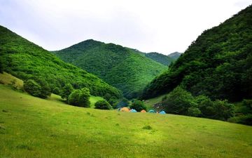 جنگلی زیبا به نام ارسباران!جنگل ارسباران کجاست؟
