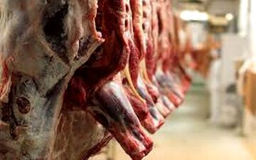  واردات گوشت از 31 کشور جهان/ توزیع فقط در تهران