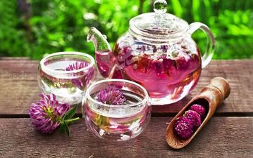 دمنوش هایی برای از بین بردن کبد چرب