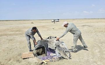 کشف ۲۷ پرنده زنده و دستگیری ۴ متخلف صید پرندگان شکاری در جاسک