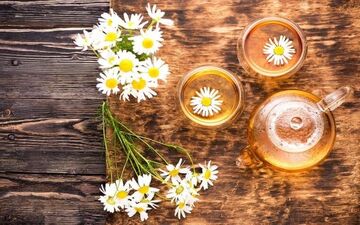 بهترین دمنوش ها برای روزه داران