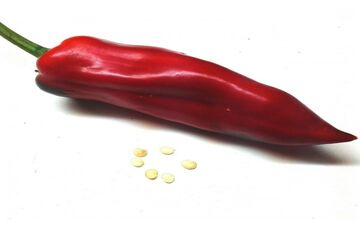 مواد غذایی پاک کننده عروق