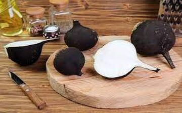 خواص مصرف ترب سیاه که باورتان نمی شود/ روش استفاده از آن برای دفع سنگ کلیه 