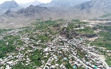 جشن آلاله ها در دامن طبیعت سبز نیاسر