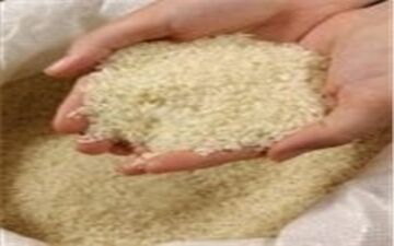 تکذیب توزیع برنج‌های تاریخ مصرف گذشته

