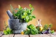 چرا گیاهان دارویی در زندگی ما اهمیت دارند؟