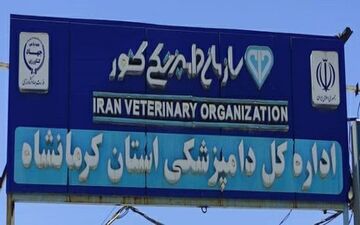 
صدور گواهی حمل مرغ زنده کشتاری به بخش خصوصی واگذار شد