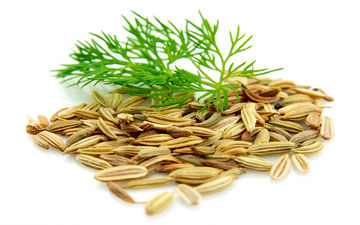گیاهان ضد نفخ را بشناسید
