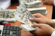  قیمت دلار به سکوی ۱۷۵ هزار تومان برگشت | طلای ۱۸ عیار در کانال ۱۸ میلیونی ماند | سکه امامی ۱۸۳ میلیونی شد 