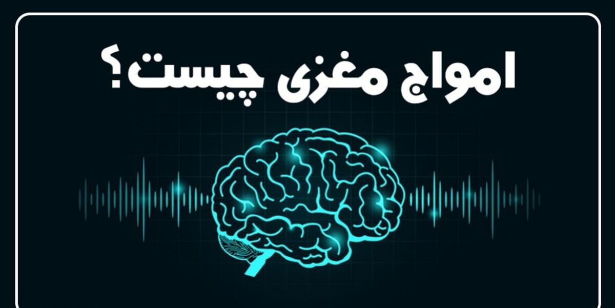 توضیحاتی در مورد امواج مغزی انسان : بتا ، آلفا ، تتا و دلتا