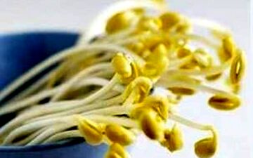 محافظت از کبد با "روغن جوانه گندم"