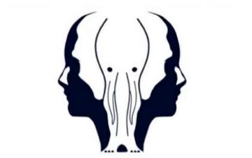 شخصیت شناسی| بگو اول چی دیدی تا بگم چقدر دل نازکی
