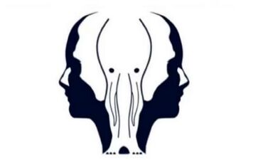 شخصیت شناسی| بگو اول چی دیدی تا بگم چقدر دل نازکی