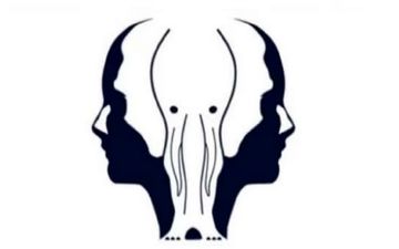 شخصیت شناسی| بگو اول چی دیدی تا بگم چقدر دل نازکی