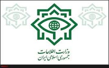 اطلاعیه مهم وزارت اطلاعات بعد از تیراندازی در حرم امام و مجلس