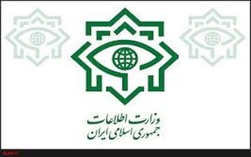 اطلاعیه مهم وزارت اطلاعات بعد از تیراندازی در حرم امام و مجلس