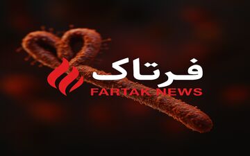 هشدار جدی؛ ایبولا چگونه از حیوانات به انسان سرایت می‌کند؟