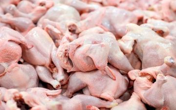 تنوع در آشپزی با مرغ: غذایی متفاوت و خوشمزه برای هر ذائقه‌ای + ویدئو آموزشی