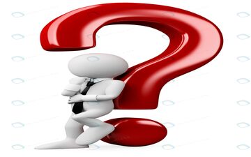 اگر یک فیل بالای درخت بره چی می شه؟| خیلی جالبه!