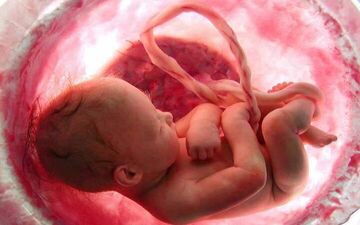 صاف کننده های مو تاثیری بر باروری زنان دارند؟

