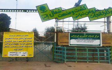 توسعه کشت قراردادی دانه های روغنی در مازندران