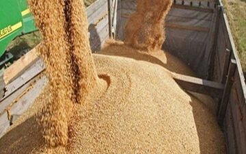 قیمت جهانی کالاهای اساسی همچنان تحت تاثیر تحولات اوکراین و روسیه