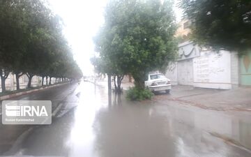 بارش همرفتی تابستانه در جم و دشتستان بوشهر گزارش شد