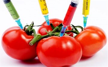 عوارض  محصولات تراریخته برای سلامتی

