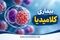 بیماری خاموش؛ چرا نباید کلامیدیا را دست‌کم بگیرید؟ / از علائم تا درمان عفونت جنسی