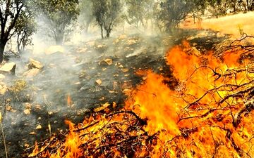 آتش‌سوزی در فضای سبز بلوار وکیل‌آباد مشهد مهار شد
