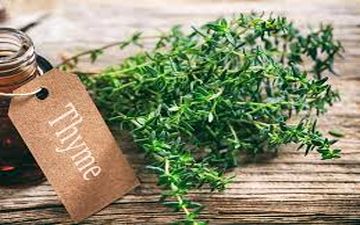 خواص شگفت‌انگیز آویشن برای بدن، ریه و پوست