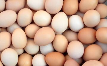 رازهای ناگفته تخم مرغ محلی/ از اسطوره درمان کم خونی تا واقعیت علمی