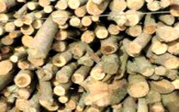 
کشف بیش از 6 تن چوب قاچاق در شفت