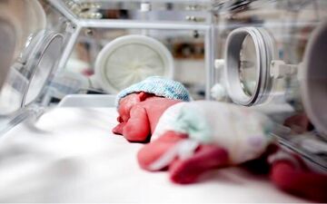 این ۲۳ استان زیر خط باروری قرار دارند