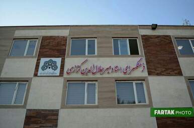 photo_ (17)