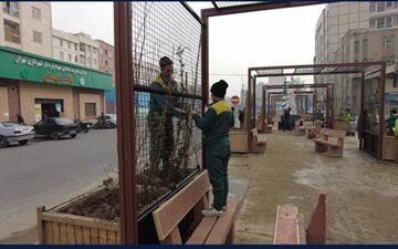 بهار امسال، بوی گل‌های معطر در محله ایران می‌پیچد